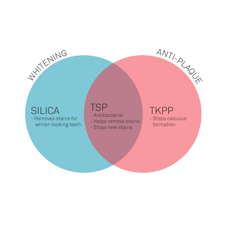 Venn diagram showing anti-plaque and whitening ingredients of edel+white toothpaste