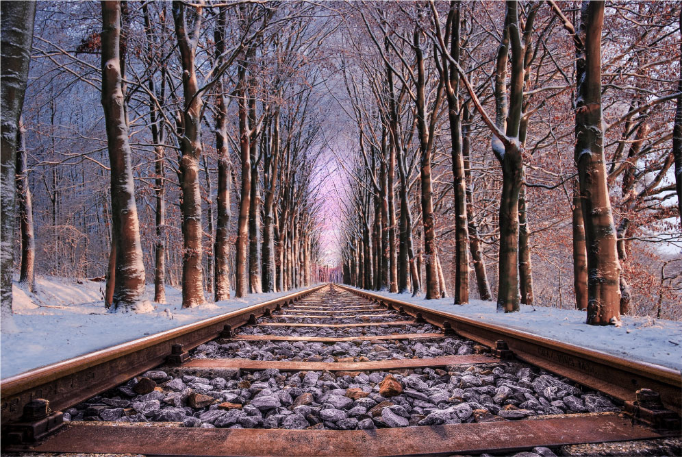 Snowy train tracks lined with wintry trees